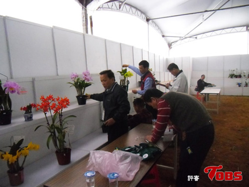 20130126-4.JPG