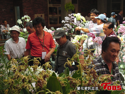 20130322-9.JPG