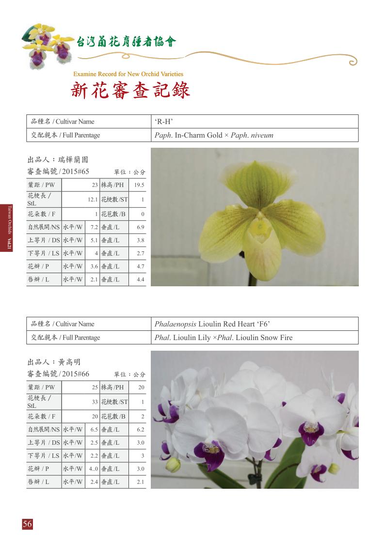 台灣蘭花 第21集 春季刊 內頁_56.jpg