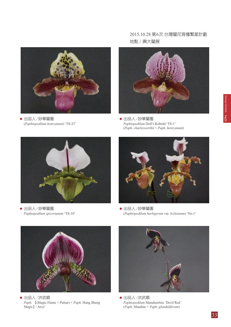 台灣蘭花 第21集 春季刊 內頁_33.jpg