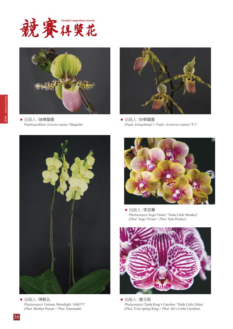 台灣蘭花 第21集 春季刊 內頁_36.jpg