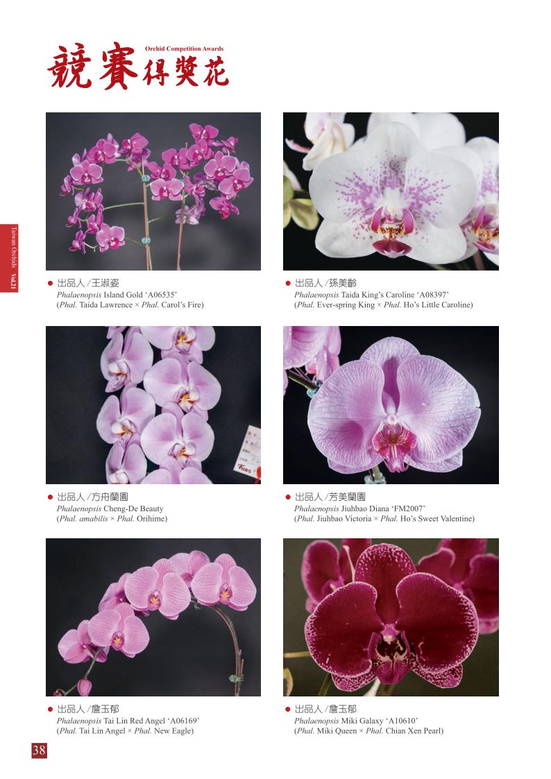 台灣蘭花 第21集 春季刊 內頁_38.jpg