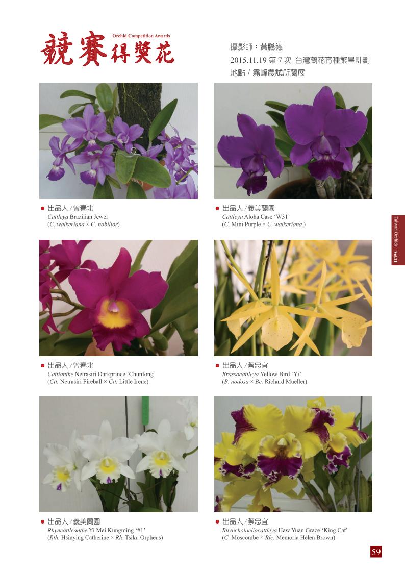 台灣蘭花 第21集 春季刊 內頁_59.jpg