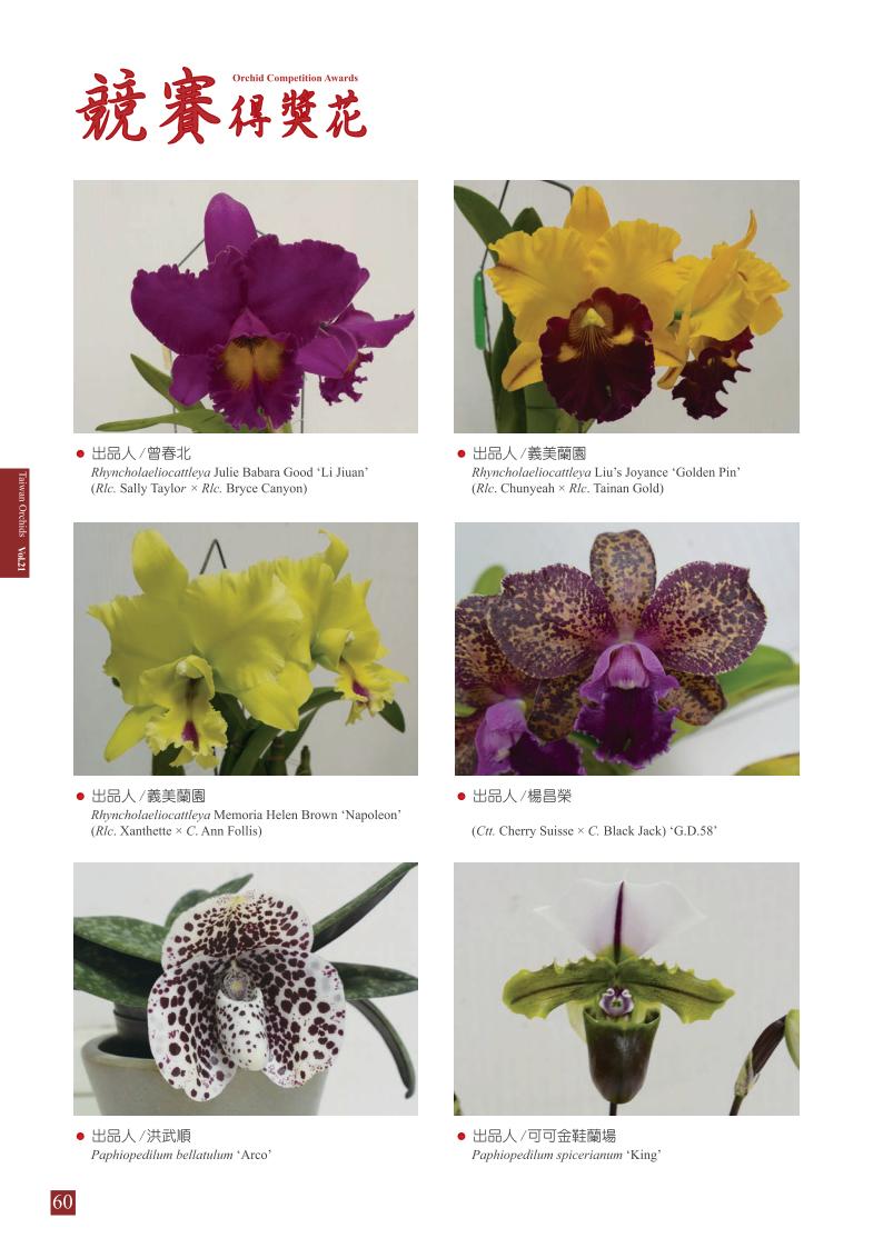 台灣蘭花 第21集 春季刊 內頁_60.jpg