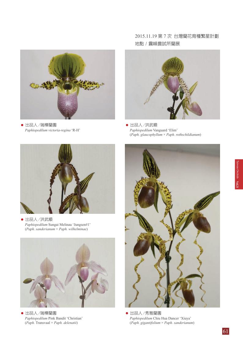 台灣蘭花 第21集 春季刊 內頁_61.jpg