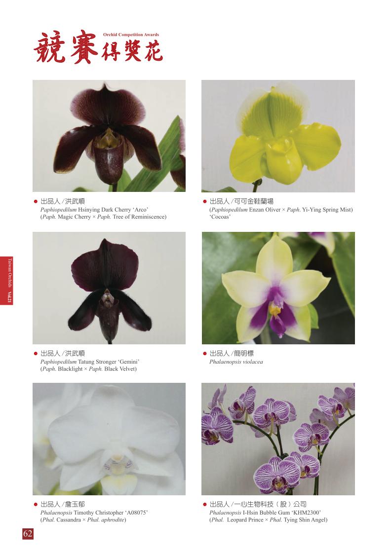 台灣蘭花 第21集 春季刊 內頁_62.jpg