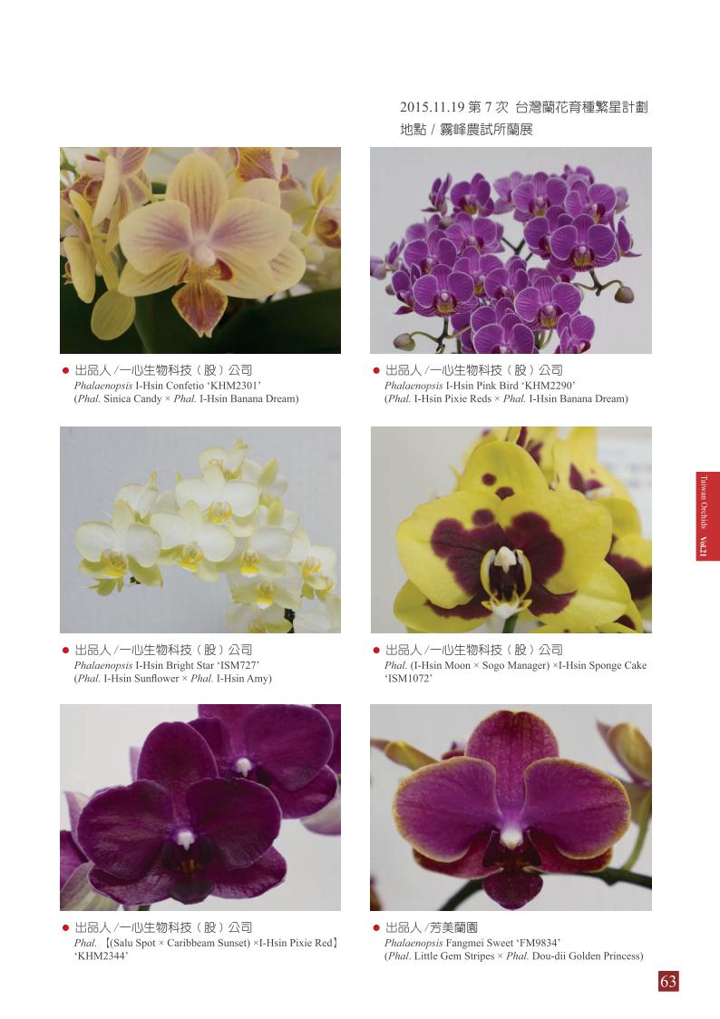 台灣蘭花 第21集 春季刊 內頁_63.jpg
