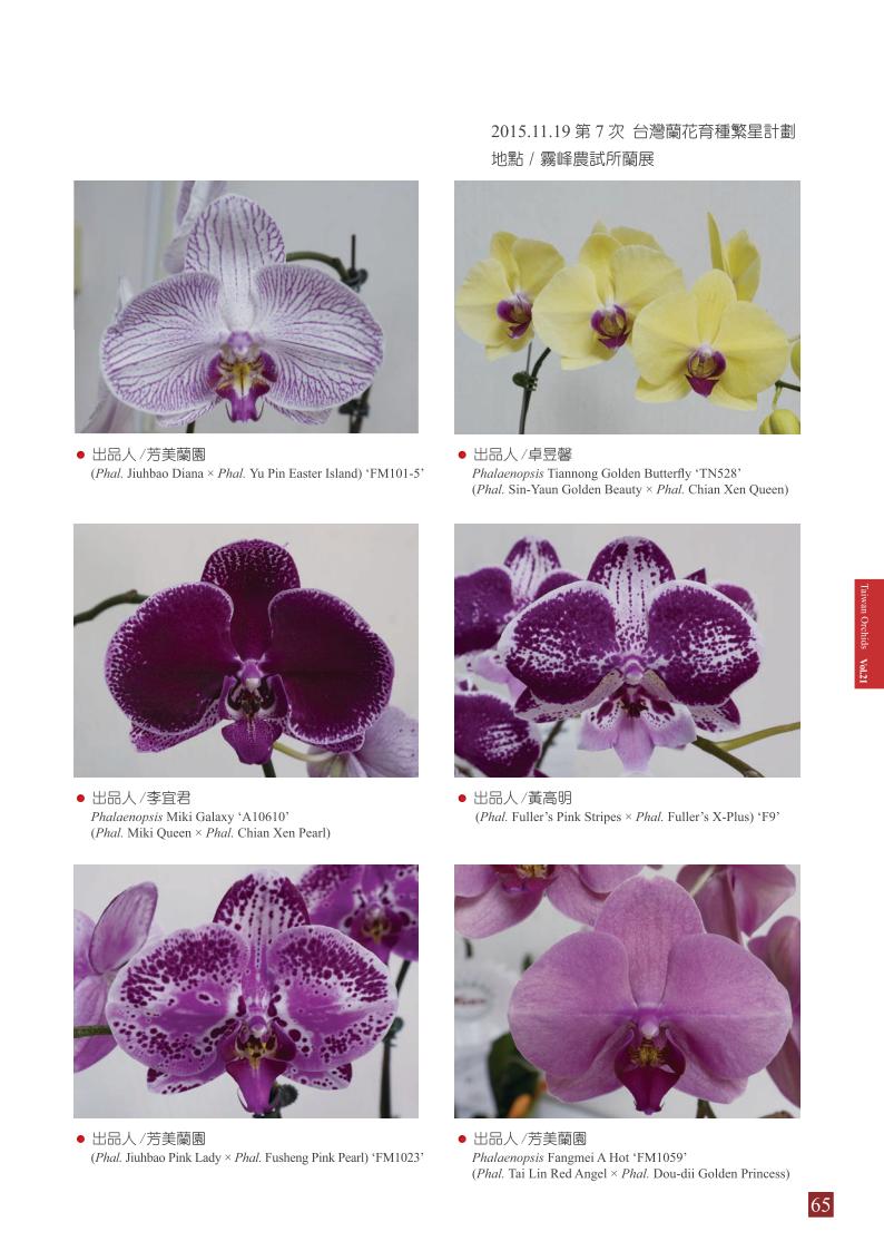 台灣蘭花 第21集 春季刊 內頁_65.jpg