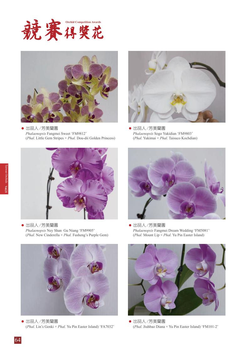 台灣蘭花 第21集 春季刊 內頁_64.jpg