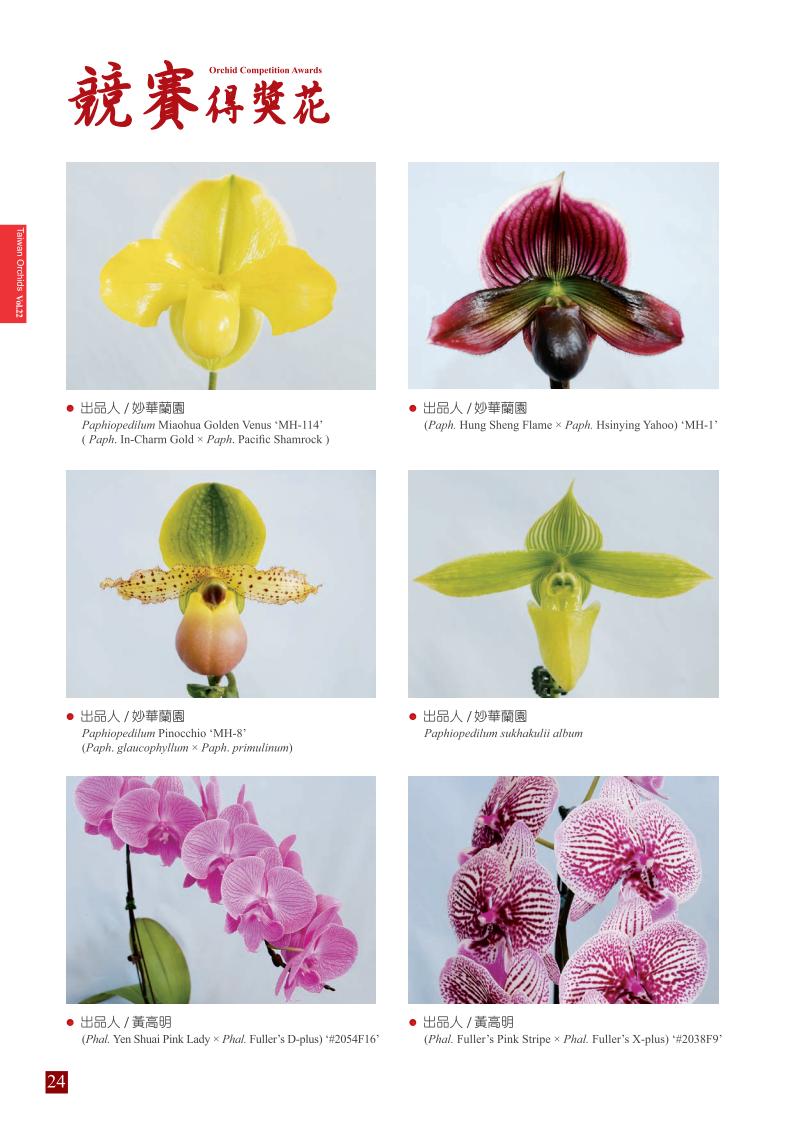台灣蘭花第22期內頁_24.jpg