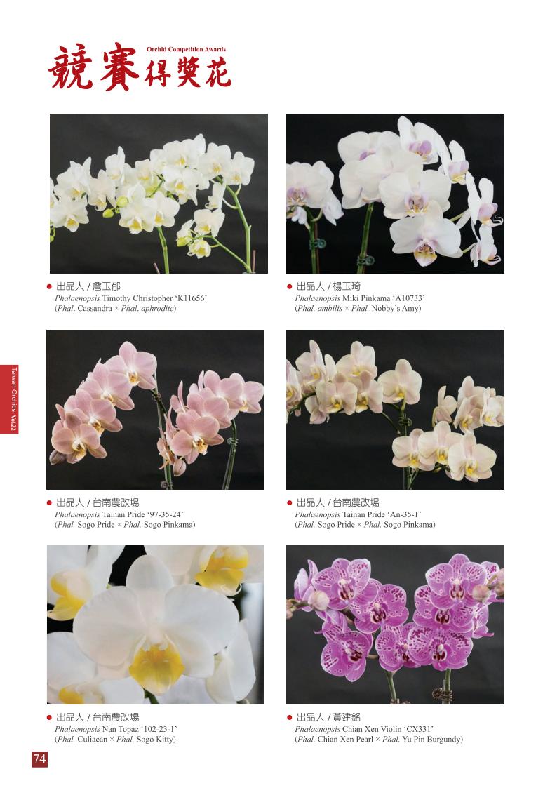 台灣蘭花第22期內頁_74.jpg