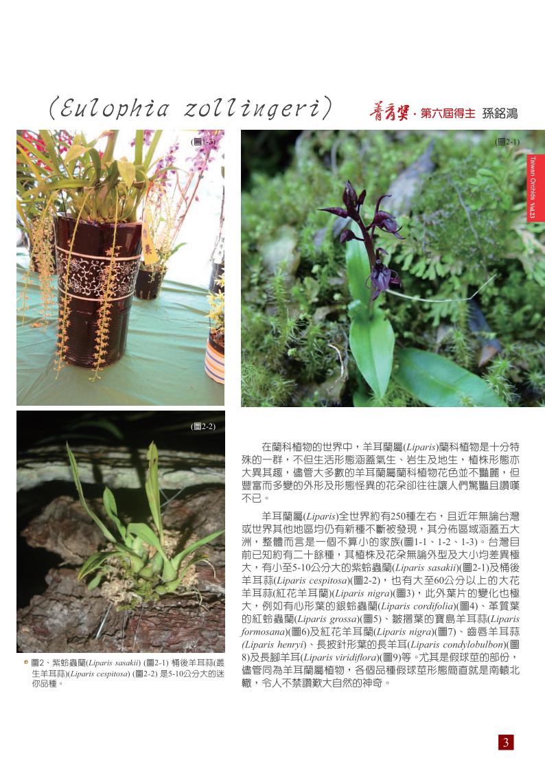 台灣蘭花第23期季 內頁 (1)_03.jpg