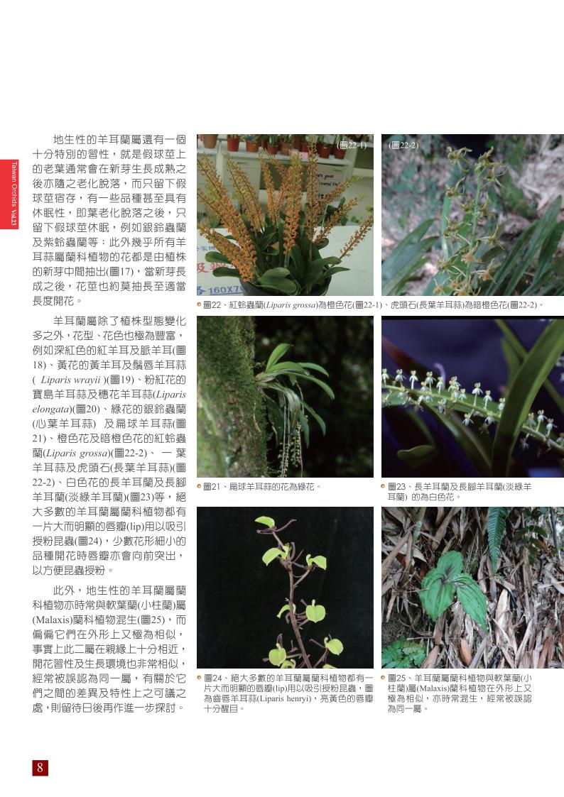 台灣蘭花第23期季 內頁 (1)_08.jpg
