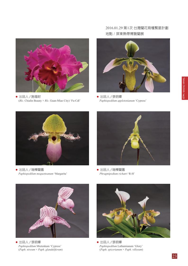 台灣蘭花第23期季 內頁 (1)_23.jpg