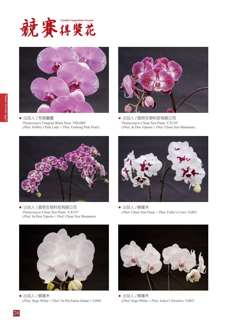 台灣蘭花第23期季 內頁 (1)_28.jpg