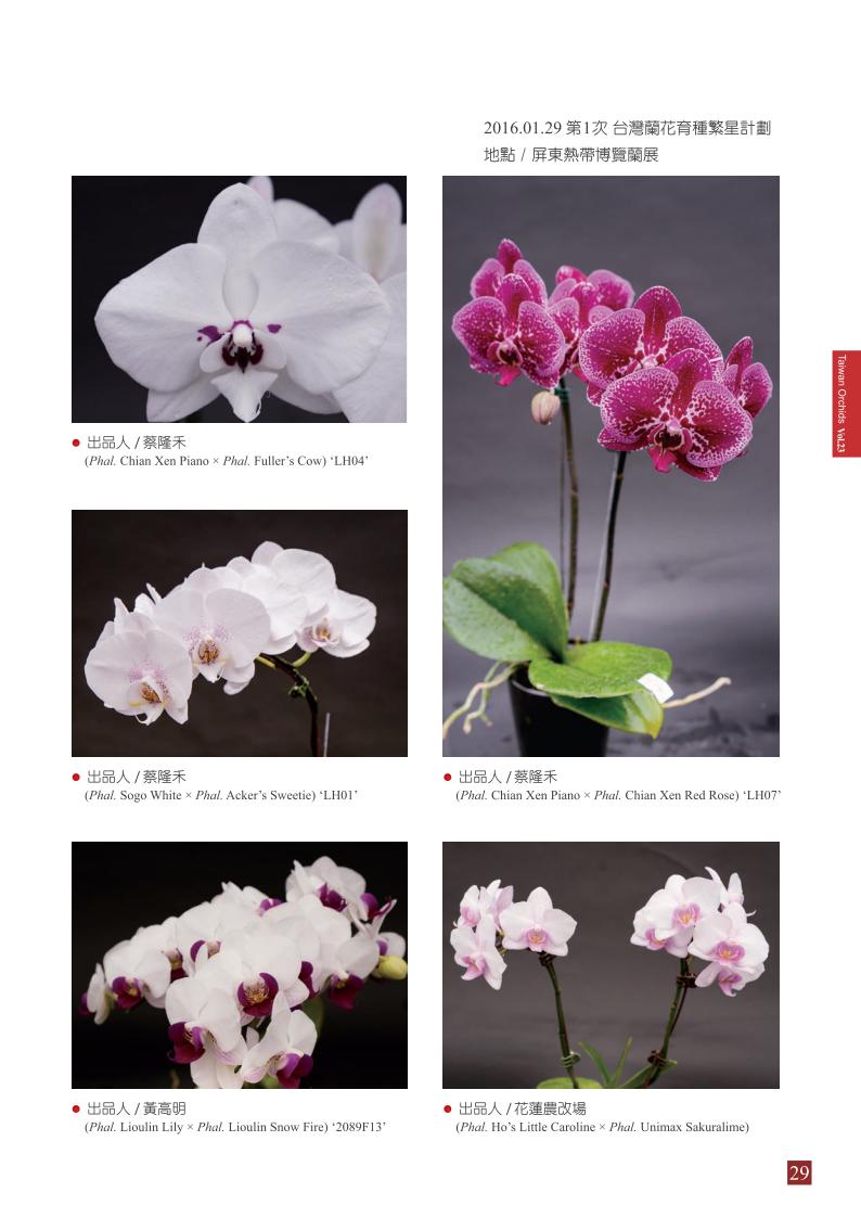台灣蘭花第23期季 內頁 (1)_29.jpg