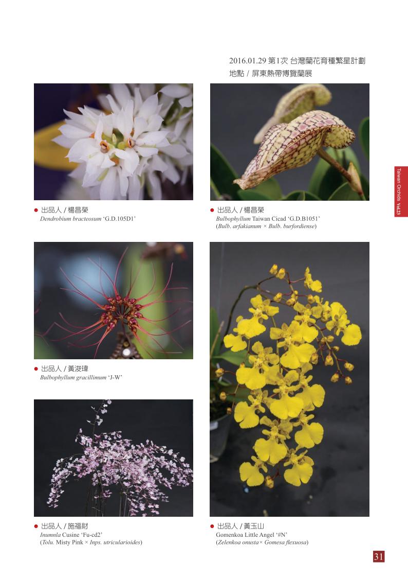台灣蘭花第23期季 內頁 (1)_31.jpg