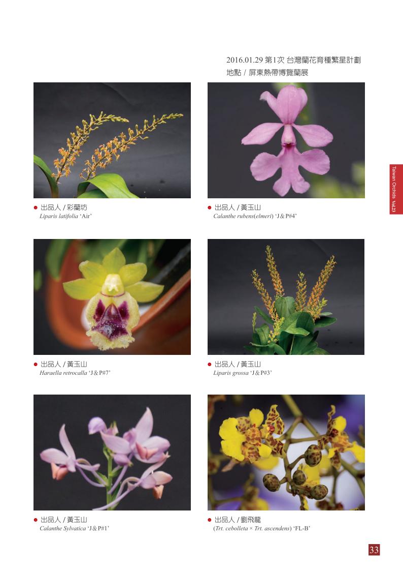 台灣蘭花第23期季 內頁 (1)_33.jpg