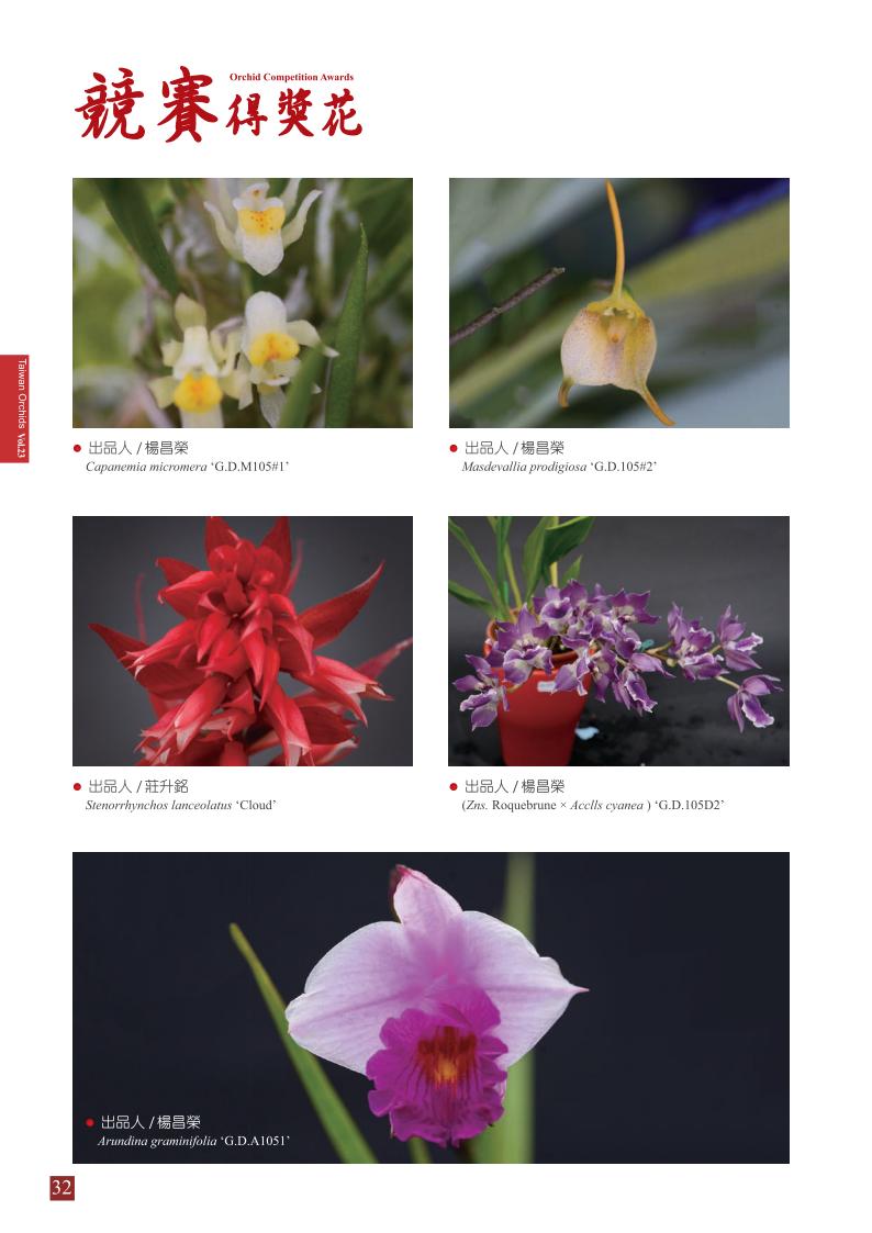 台灣蘭花第23期季 內頁 (1)_32.jpg