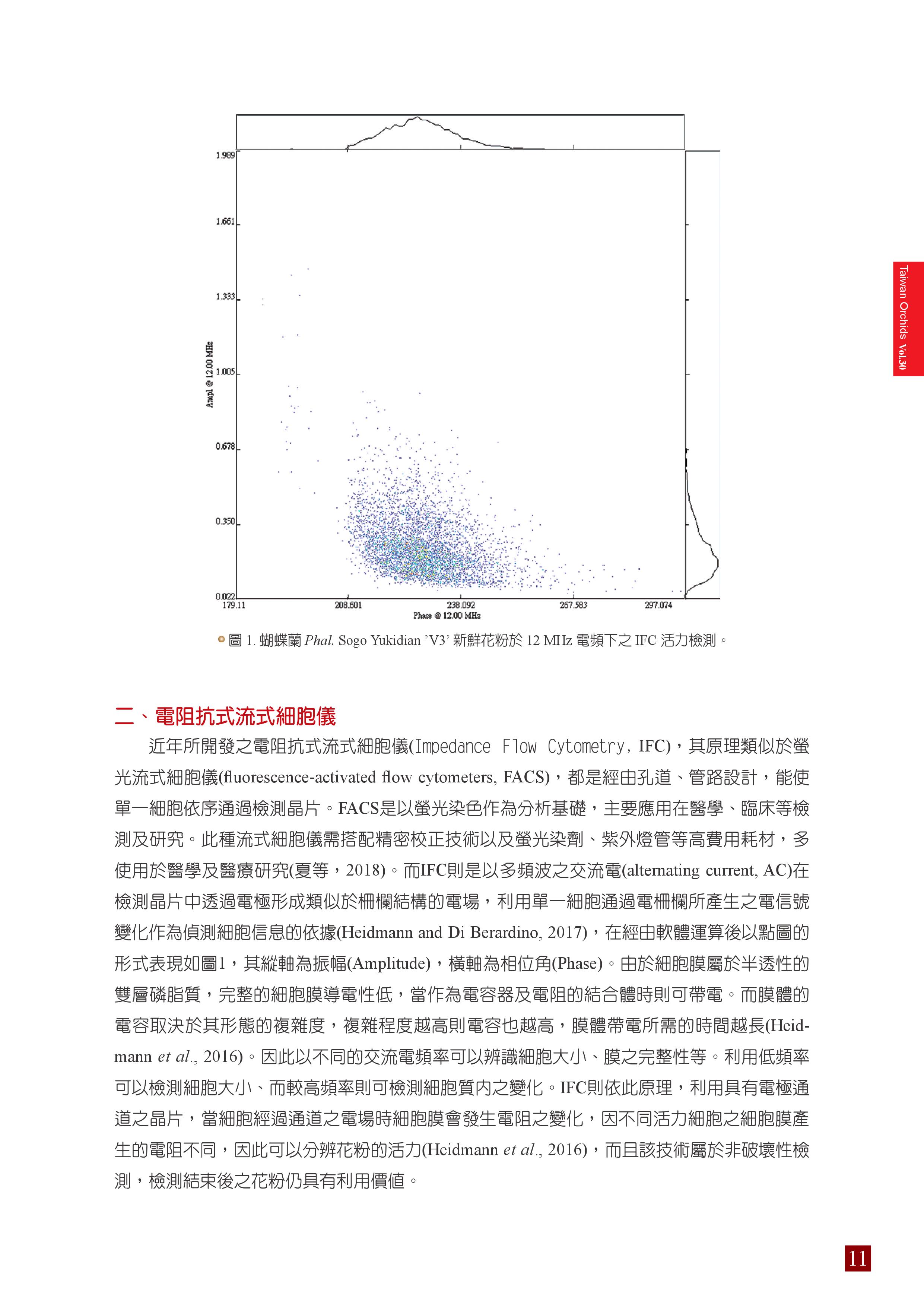 P11.jpg